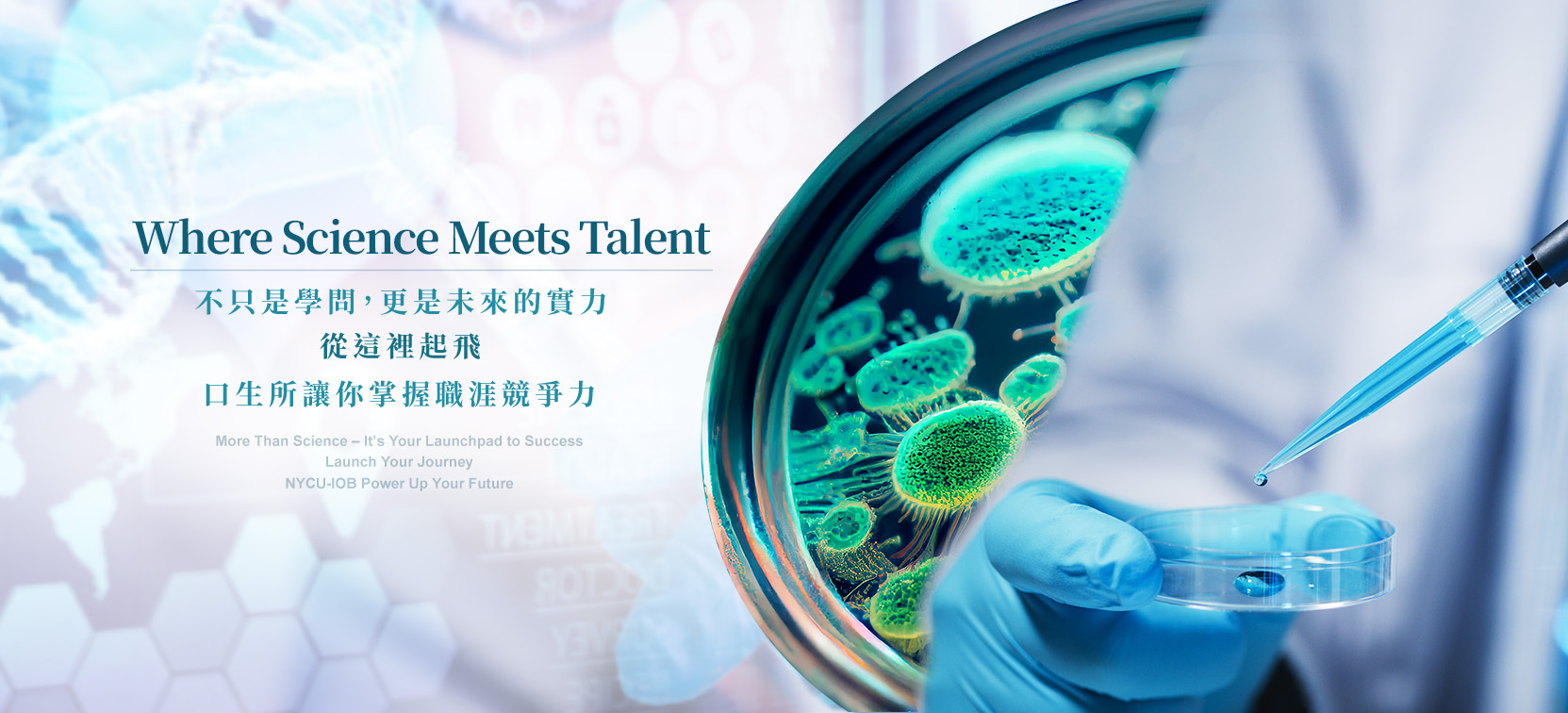 banner-index.jpg banner-index.jpg